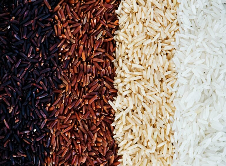 One Machine, Five Grains, One Smart Investment: Why the All-in-One Rice & Flour Processing Machine Is Changing How Small Businesses Process Food