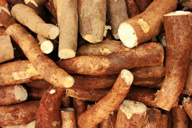 Cassava/Garri Processing Machine (Small-Scale): The ₦300K Secret Turning Garri Sellers Into Garri Producers (2026 Price Guide)