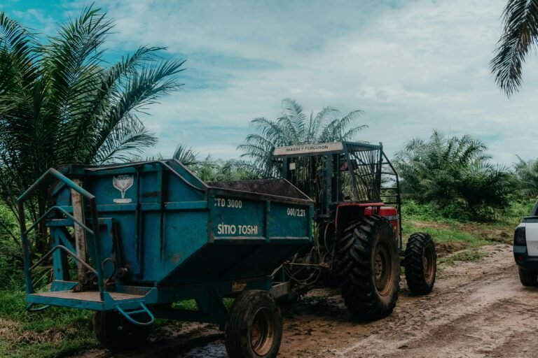 Palm Fruit Boiler + Thresher (Starter Combo): The Smart Way to Start Your Palm Oil Business