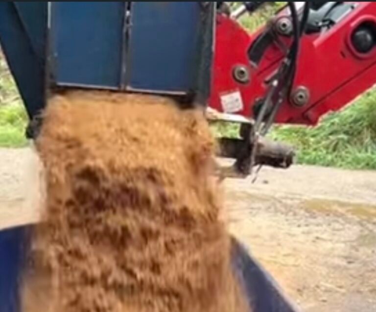 How Sawmills Can Monetize Sawdust Waste